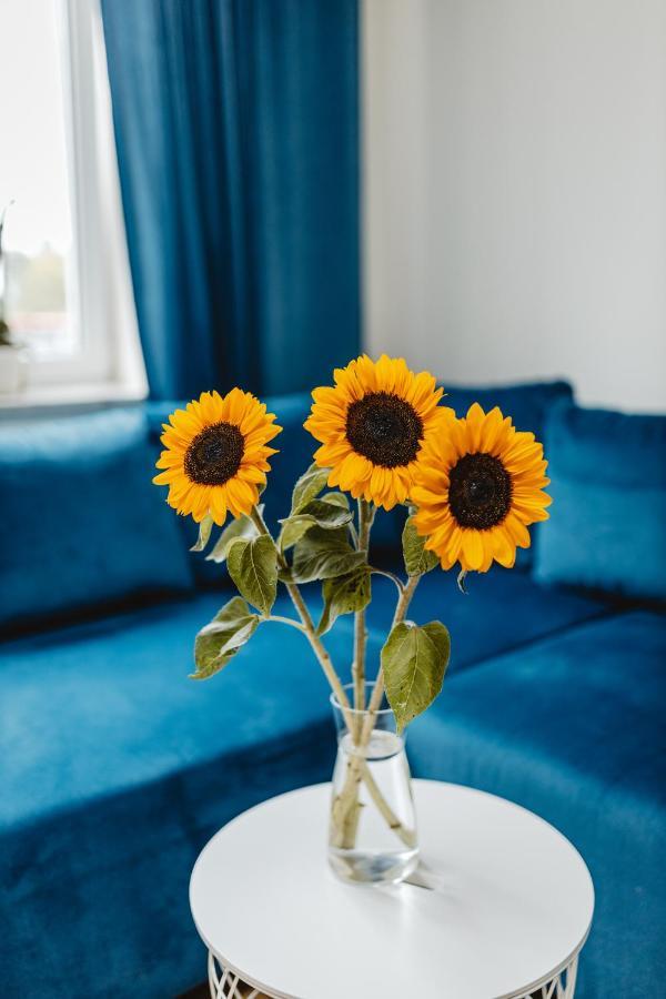 Apartament Blue ลูบลิน ภายนอก รูปภาพ